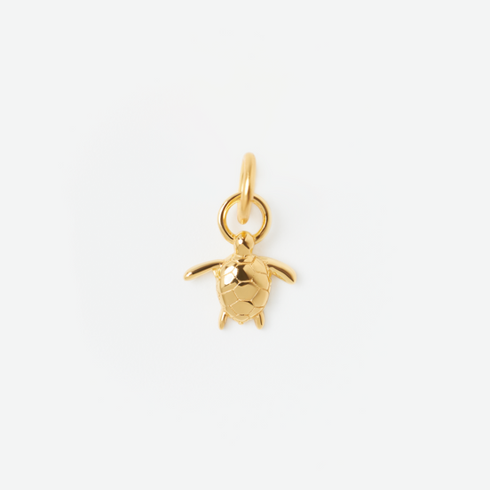 vergoldeter Charm mit Schildkrötenmuster