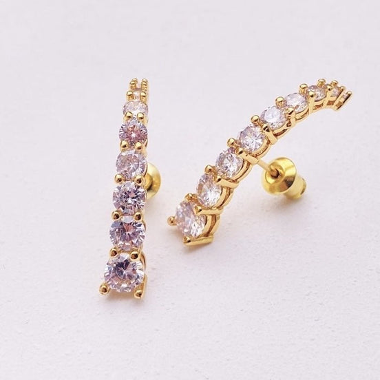 Elegant sparkling earrings