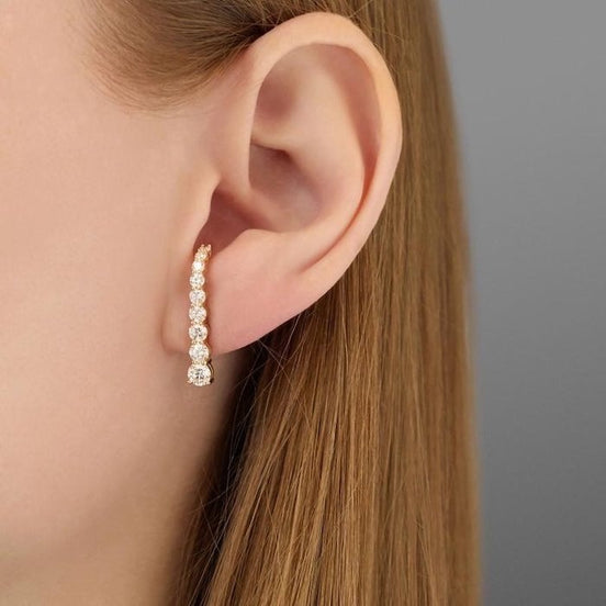 Elegant sparkling earrings